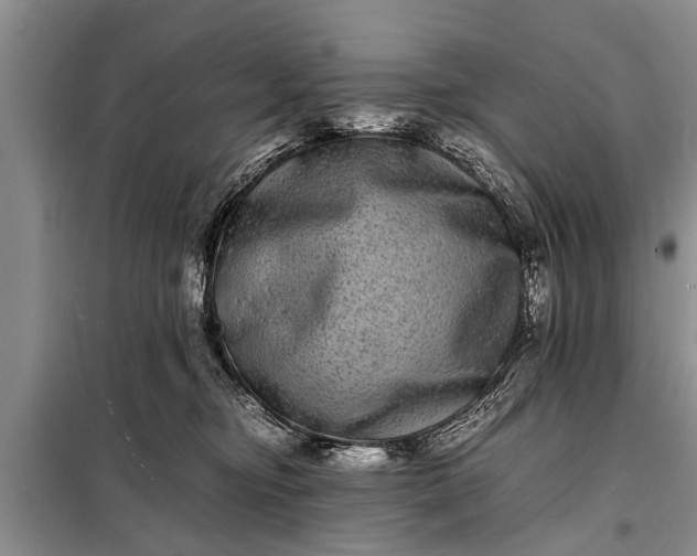 X0000097960374200804071037