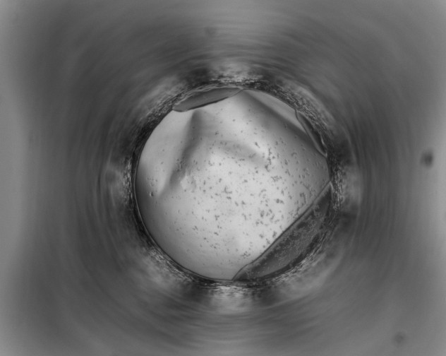 X0000097960376200804071037