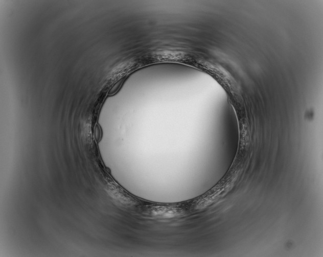 X0000097960377200804071037