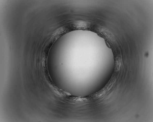 X0000097960379200804071037
