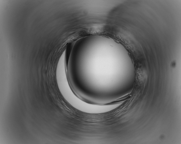 X0000097960380200804071037