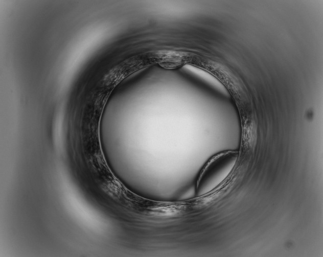 X0000097960381200804071037