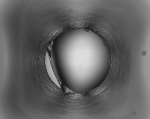 X0000097960384200804071038
