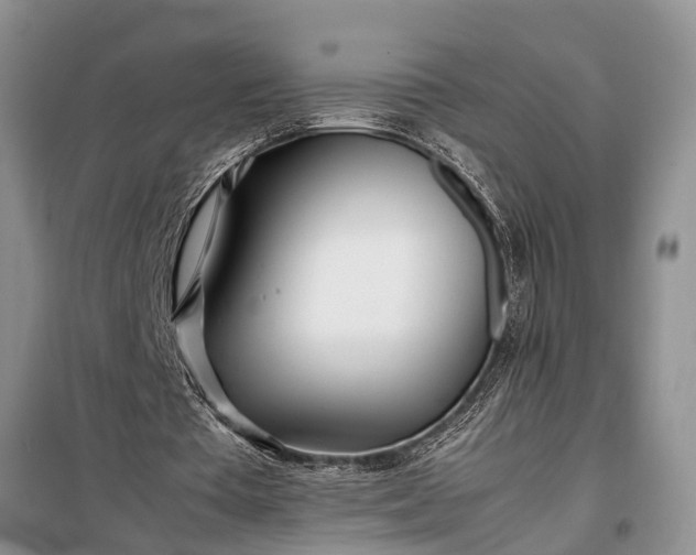 X0000097960385200804071037
