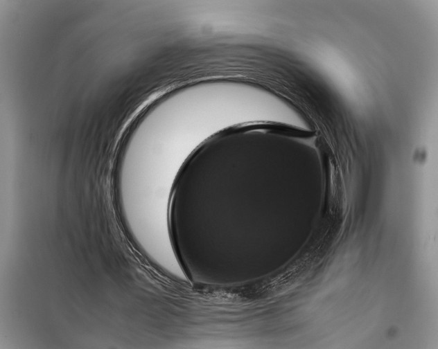 X0000097960387200804071037