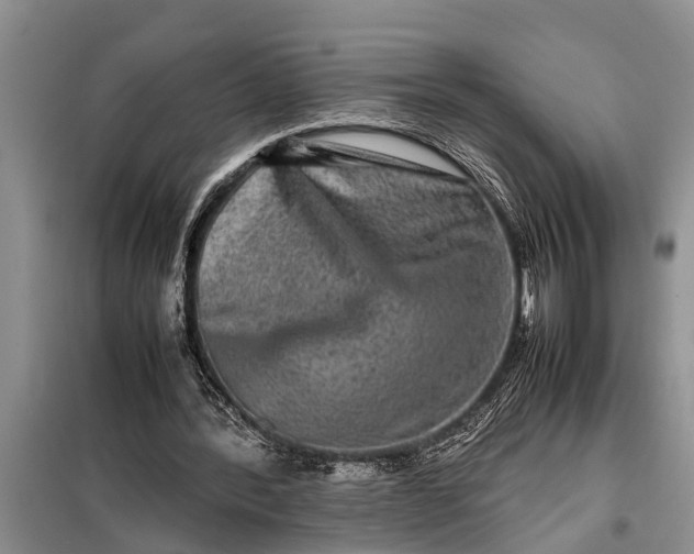 X0000097960388200804071037