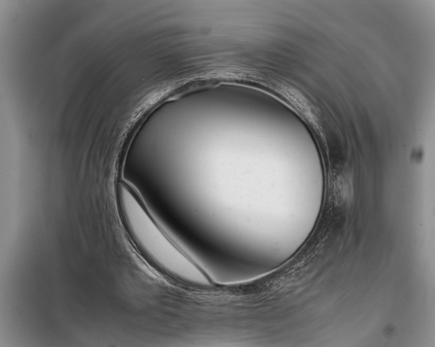 X0000097960389200804071037