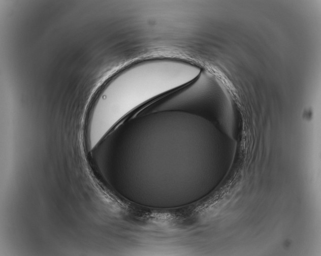 X0000097960391200804071037