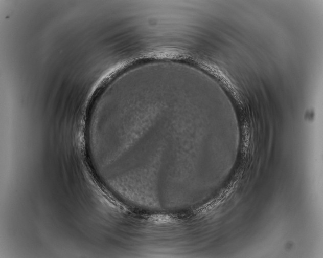 X0000097960392200804071037