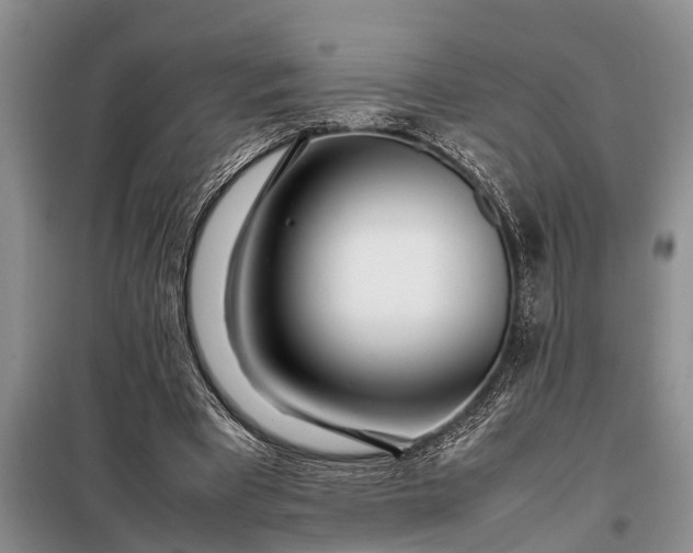 X0000097960393200804071037