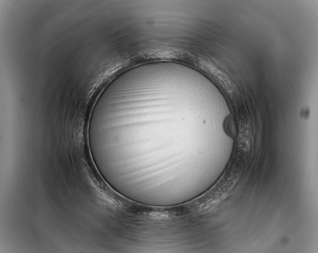 X0000097960394200804071037