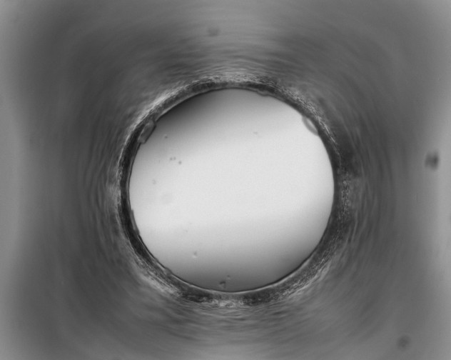 X0000097960395200804071037