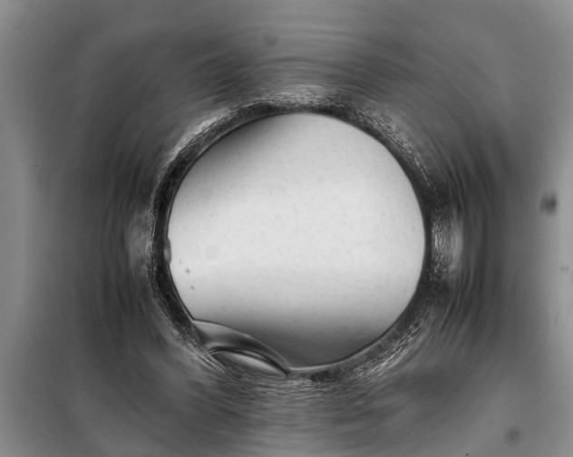X0000097960396200804071037