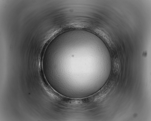 X0000097960398200804071037