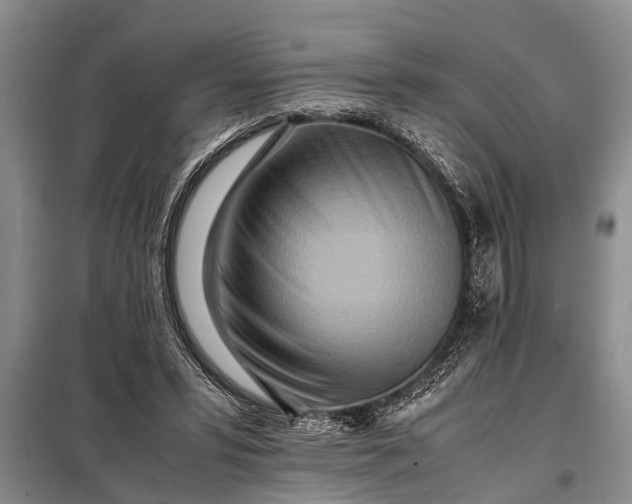 X0000097960399200804071037
