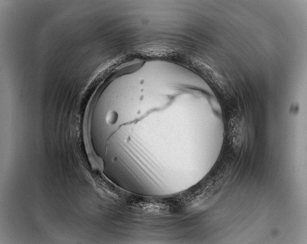 X0000097960400200804071036