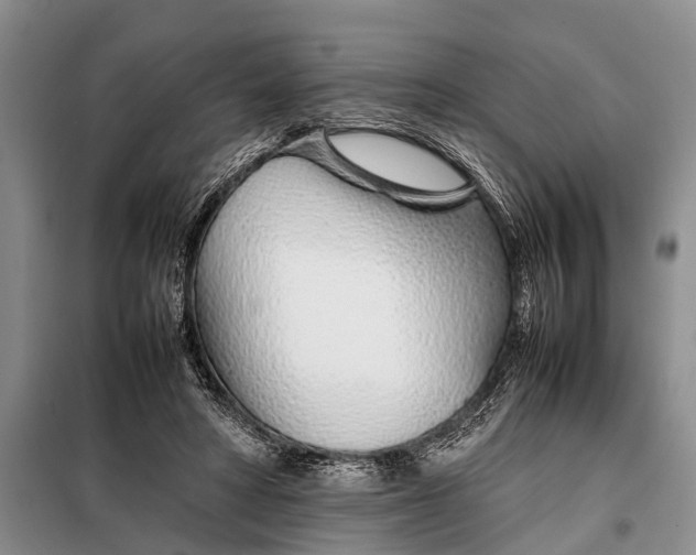 X0000097960402200804071036