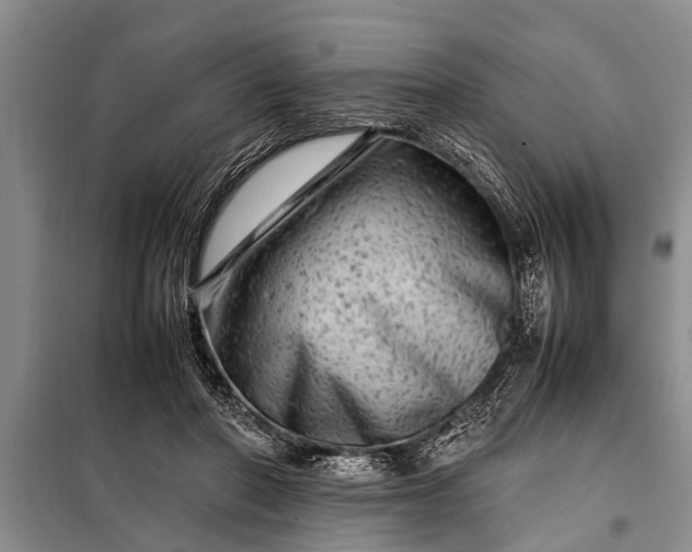 X0000097960406200804071036