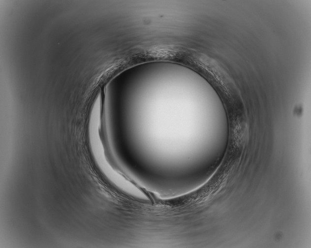 X0000097960407200804071036