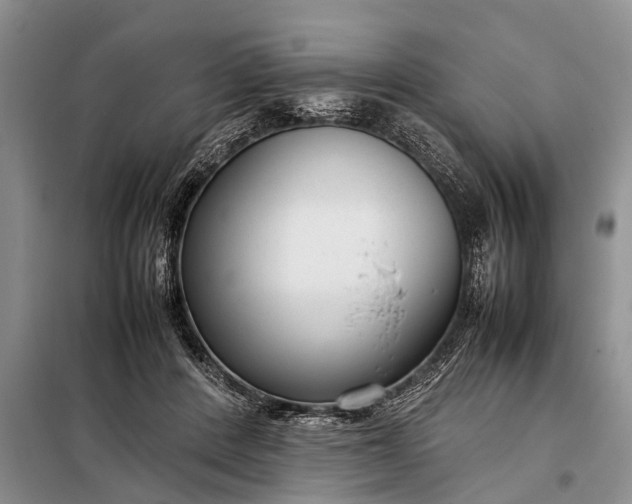 X0000097960408200804071036