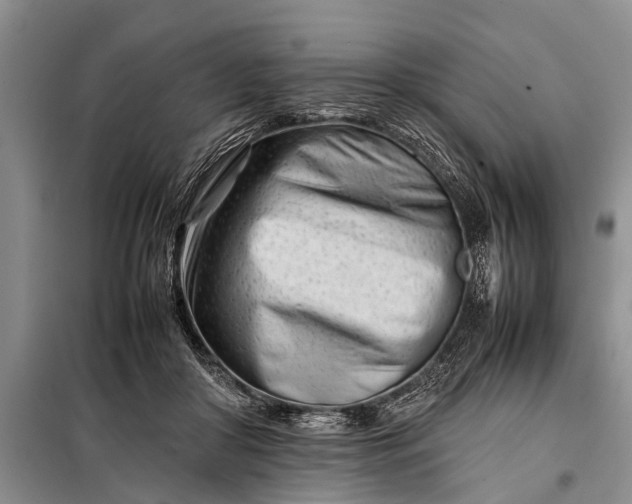 X0000097960410200804071036