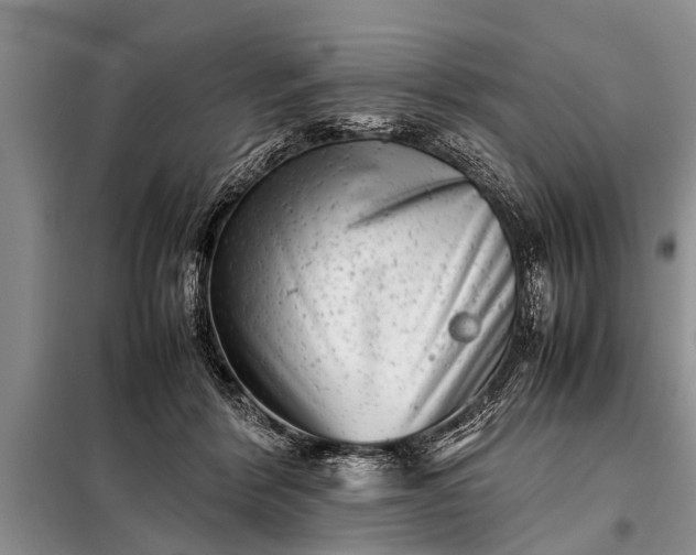 X0000097960412200804071036