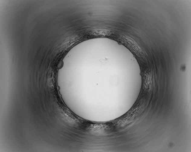 X0000097960414200804071036