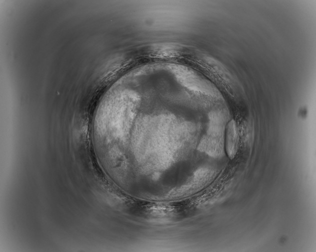 X0000097960415200804071036