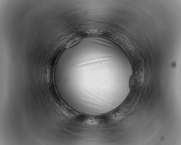 X0000097960416200804071036
