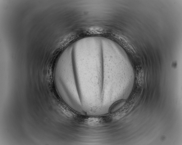X0000097960418200804071036