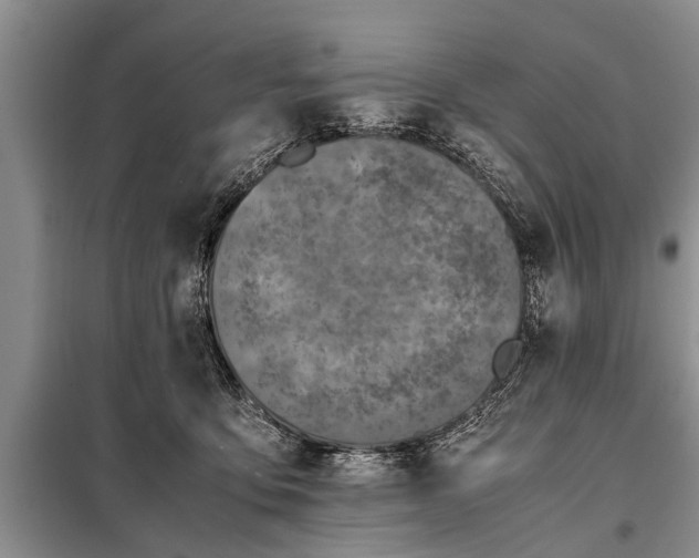 X0000097960419200804071036