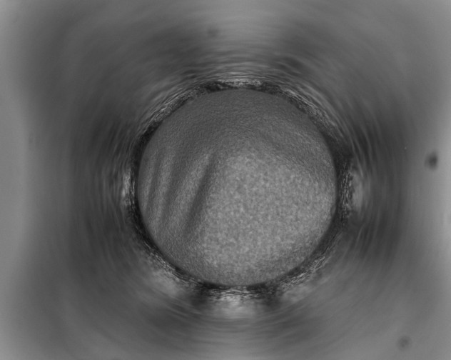 X0000097960420200804071036