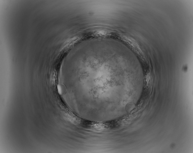 X0000097960423200804071036
