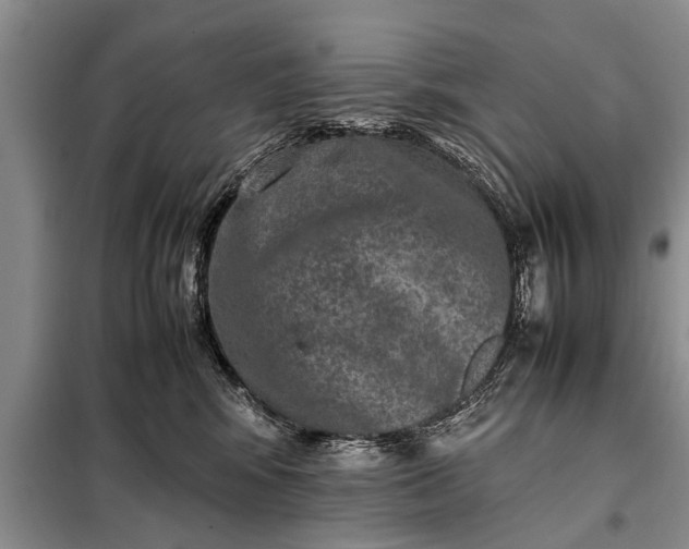 X0000097960424200804071036