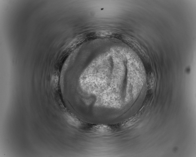 X0000097960427200804071036