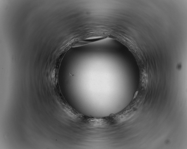 X0000097960428200804071036
