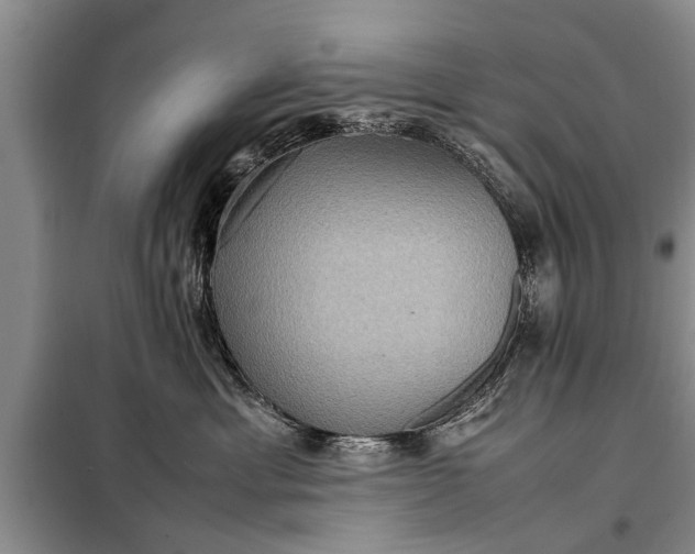 X0000097960429200804071036