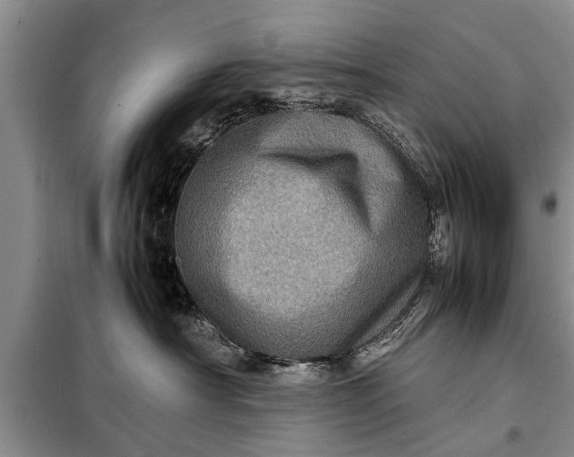 X0000097960430200804071036