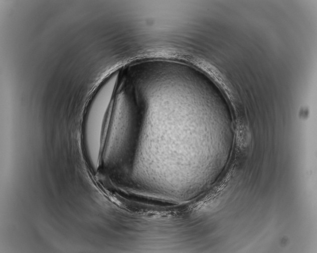 X0000097960434200804071035
