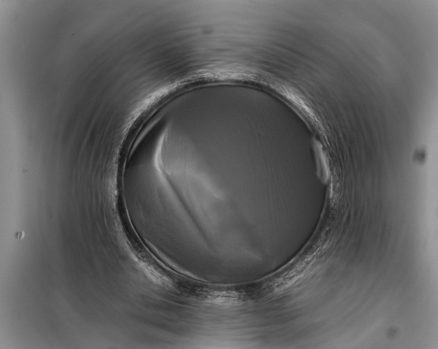 X0000097960438200804071035