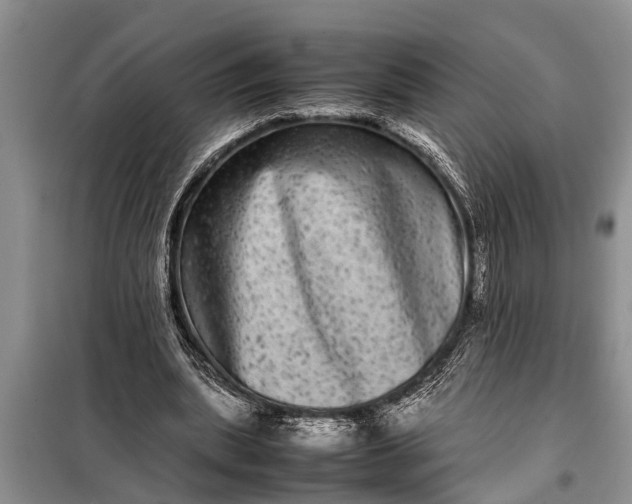 X0000097960439200804071035