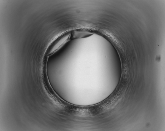 X0000097960440200804071035