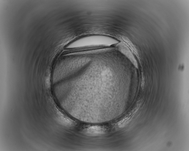 X0000097960441200804071035