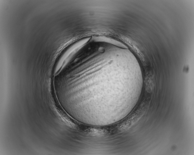 X0000097960442200804071035