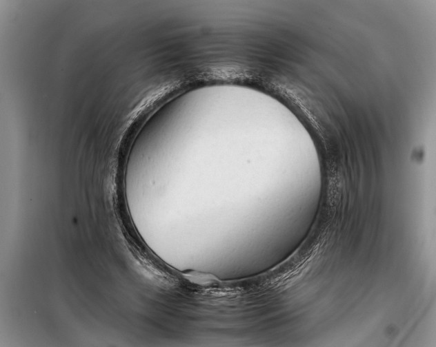 X0000097960443200804071035