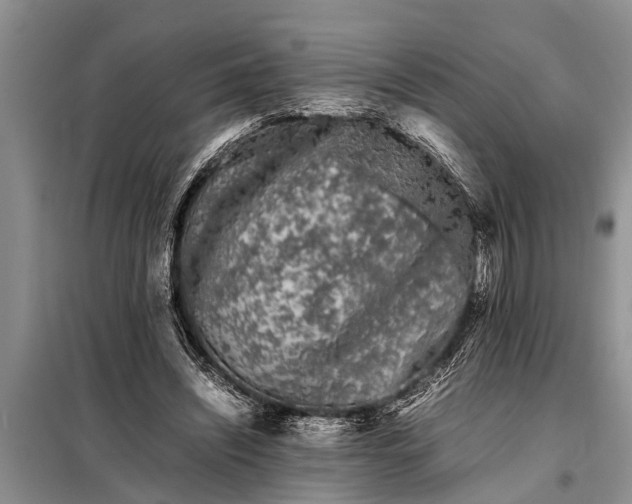 X0000097960444200804071035