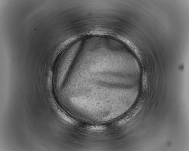 X0000097960445200804071035