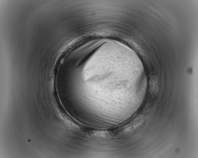 X0000097960446200804071035