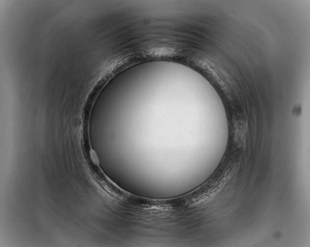 X0000097960447200804071035