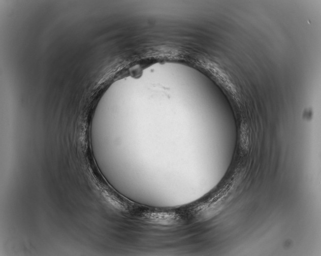 X0000097960449200804071035